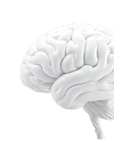 Brain Care
