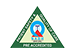 Nano Hospitals logo
