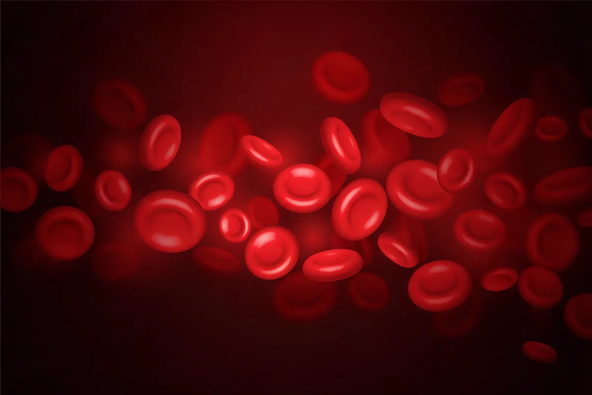  Dengue Platelet Count: When Is It Dangerous? Warning Signs That Need Hospital Care