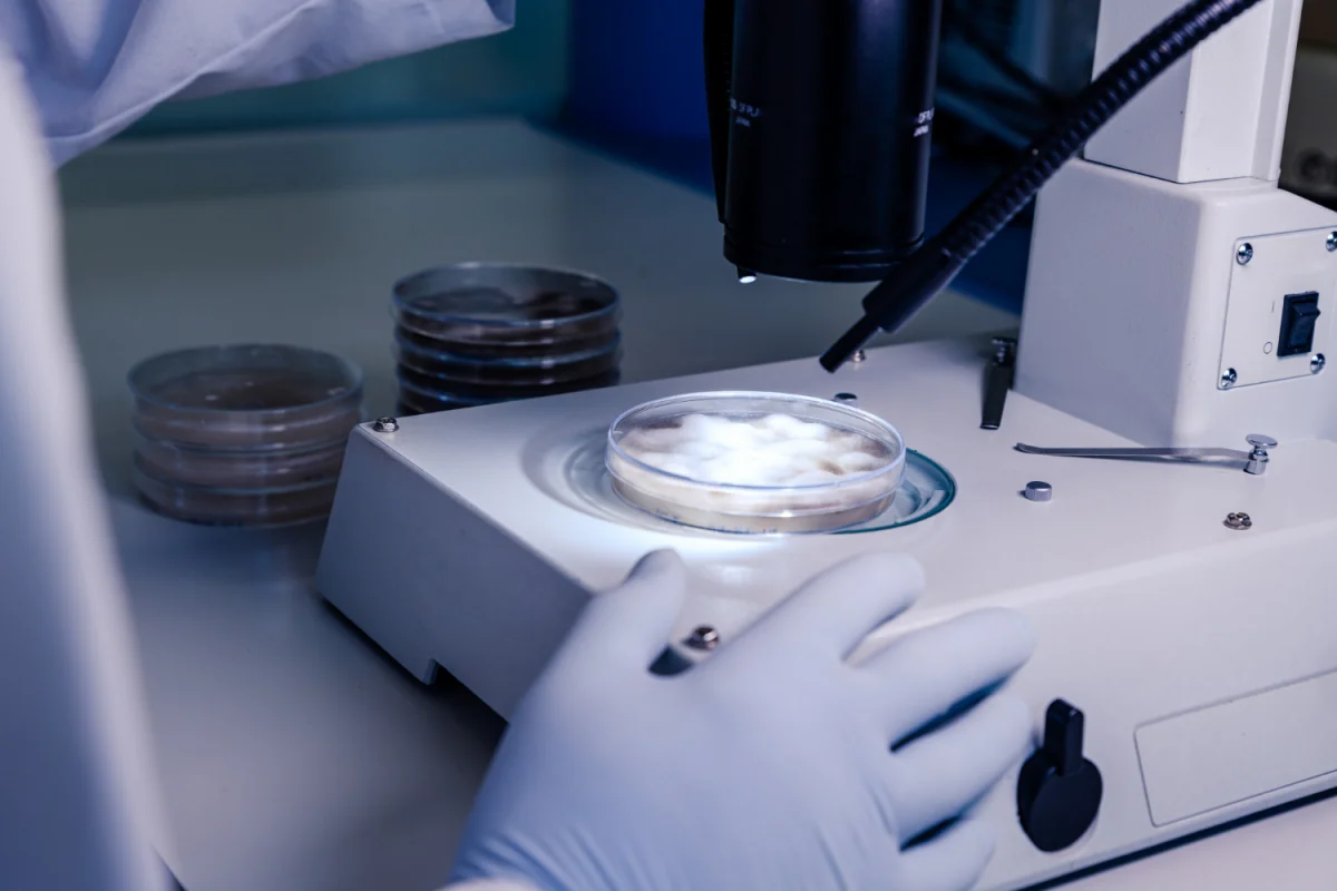 Egg Freezing: Procedure, Benefits, Risks, Cost & Who Can Consider It?