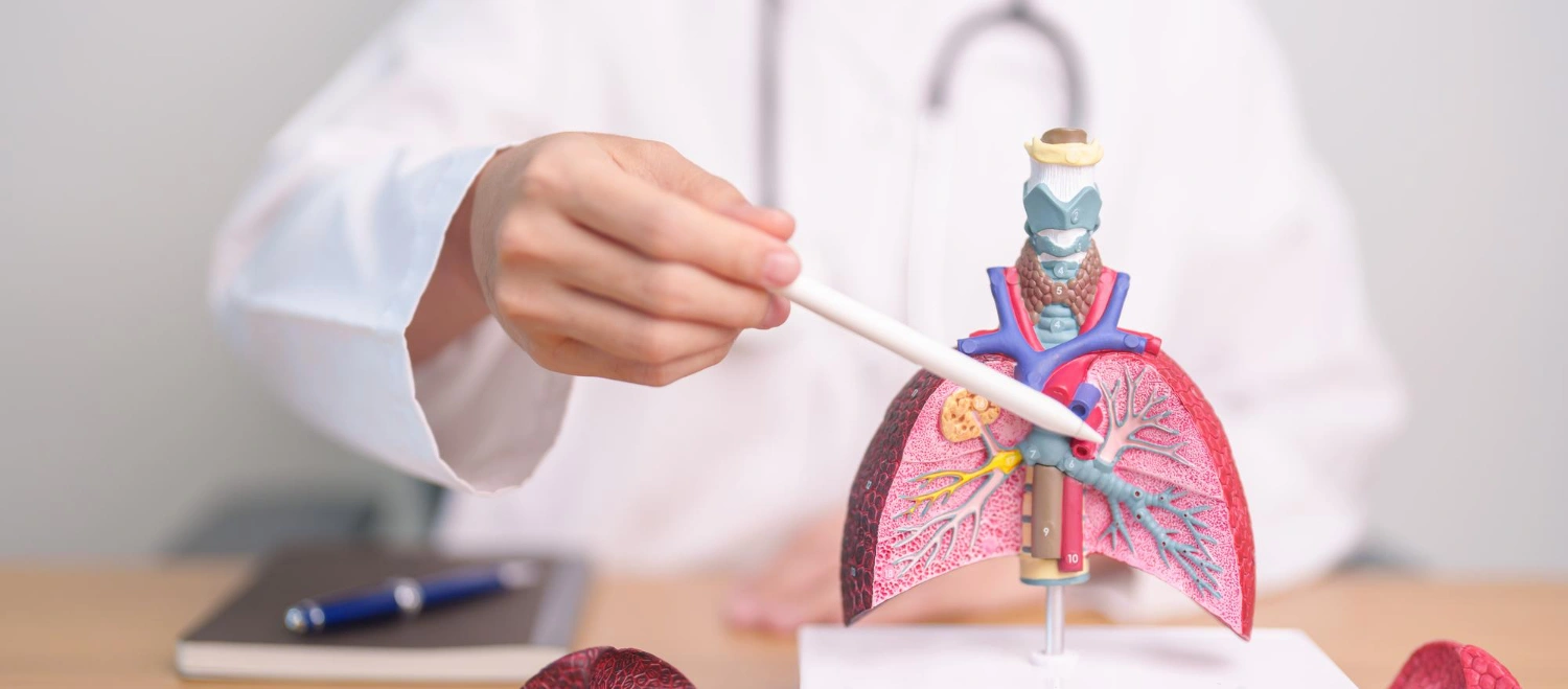 Bronchoscopy Banner